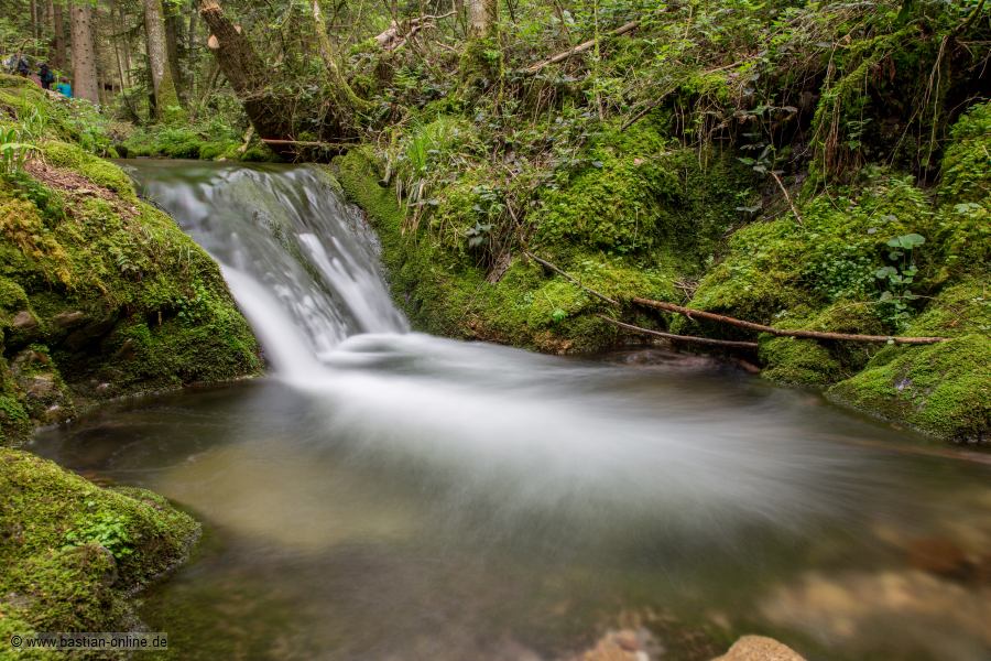 Edelfrauengrab-2015_05_09-3349