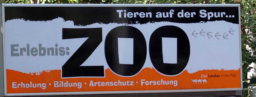 LOGO-Zo-Lamndau_4902