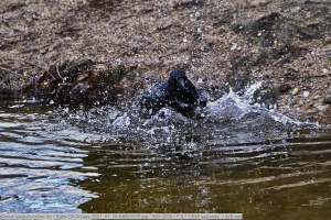 Rabe-GKAnlage-2021_01_24-64B01539 Rabe-GKAnlage-2021_01_24-64B01539