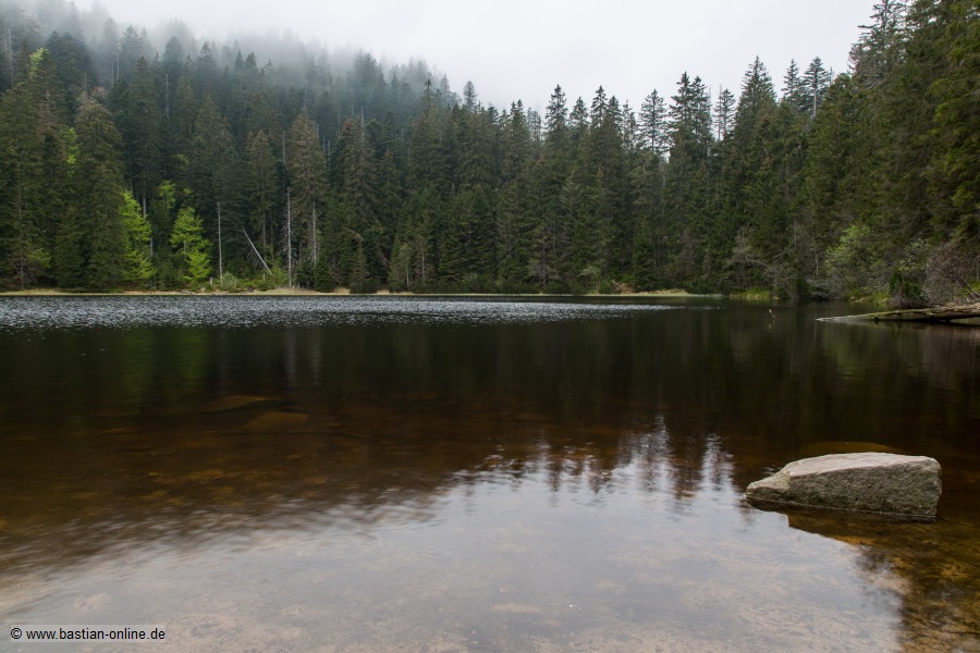 Wildsee-2015_05_09-3219