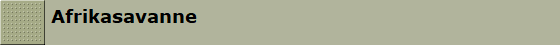 Afrikasavanne