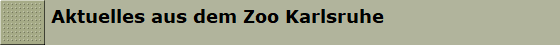 Aktuelles aus dem Zoo Karlsruhe