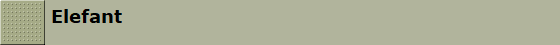 Elefant
