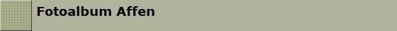 Fotoalbum Affen