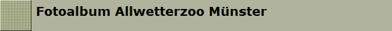 Fotoalbum Allwetterzoo Mnster