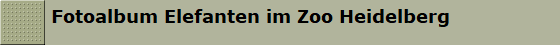 Fotoalbum Elefanten im Zoo Heidelberg