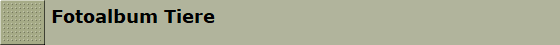 Fotoalbum Tiere