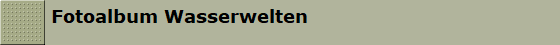 Fotoalbum Wasserwelten