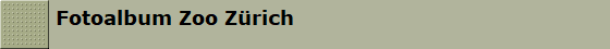 Fotoalbum Zoo Zrich