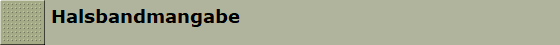 Halsbandmangabe