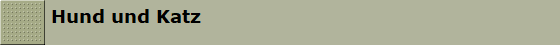 Hund und Katz