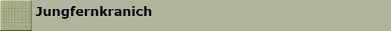 Jungfernkranich