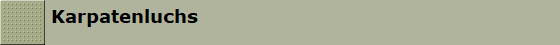 Karpatenluchs