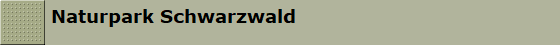 Naturpark Schwarzwald