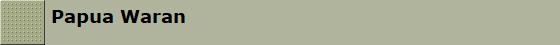 Papua Waran