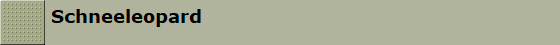Schneeleopard