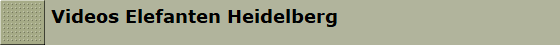 Videos Elefanten Heidelberg