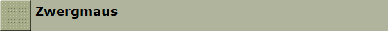 Zwergmaus